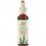 바흐, Flower Essence Agrimony, 20 ml