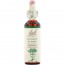 바흐, Flower Essence Centaury, 20 ml