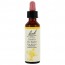 바흐, Flower Essence Cerato, 20 ml