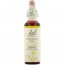 바흐, Flower Essence Chestnut Bud, 20 ml