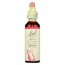 바흐, Flower Essence Larch, 20 ml