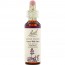 바흐, Flower Essence Water Violet, 20 ml