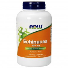 나우 Now, 에키네시아 Pur순수a Root 400 mg, 250 캡슐