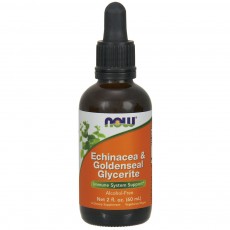  나우 Now, 에키네시아 & Goldenseal Glycerite, 액상, Alcohol Free, 2 fl oz (60 ml)