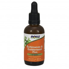  나우 Now, 에키네시아 & Goldenseal 플러스, 2 fl oz (60 ml)