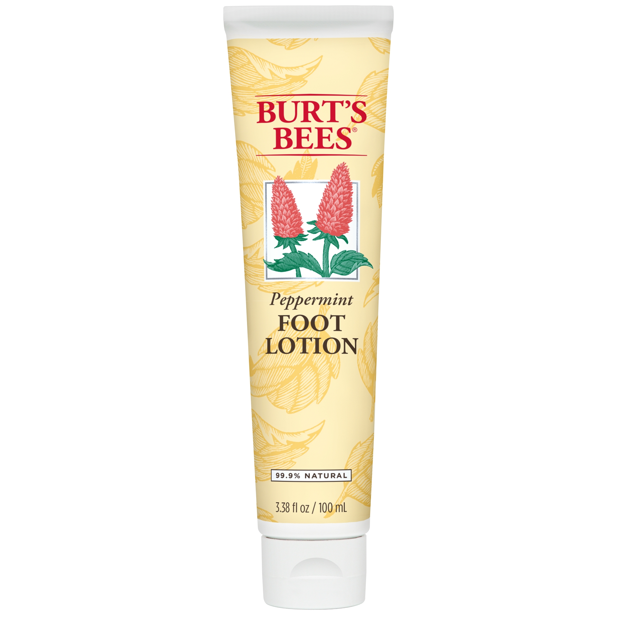 버츠비, 페퍼민트 풋로션, 3.38 fl oz (100 ml)